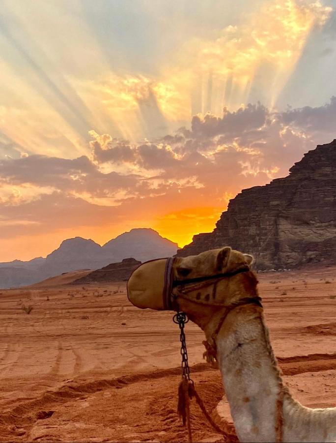 Rum Arjaan Luxury Camp Wadi Rum Extérieur photo